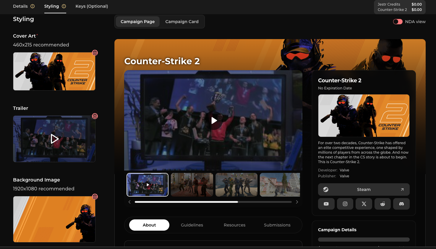 Campaign page preview showing cover art, trailer, and campaign details as creators see them